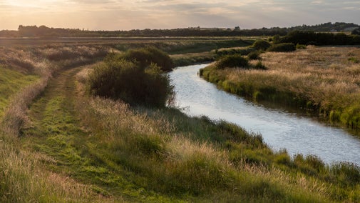 Autumnal sunset photo with a creek with water in on the right and a grassy path on the left, both sweeping from right to left